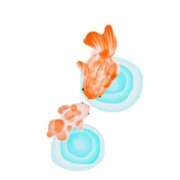 ヒメ日記 2024/12/30 09:19 投稿 白水　南乃 タッチVIP