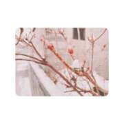 ヒメ日記 2025/03/31 14:18 投稿 白水　南乃 タッチVIP