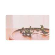 ヒメ日記 2025/04/14 10:04 投稿 白水　南乃 タッチVIP