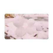 ヒメ日記 2025/04/29 10:12 投稿 白水　南乃 タッチVIP