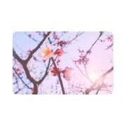 ヒメ日記 2025/05/01 19:20 投稿 白水　南乃 タッチVIP