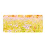 ヒメ日記 2025/05/10 13:18 投稿 白水　南乃 タッチVIP