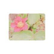 ヒメ日記 2025/05/11 09:57 投稿 白水　南乃 タッチVIP