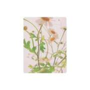 ヒメ日記 2025/05/12 09:34 投稿 白水　南乃 タッチVIP