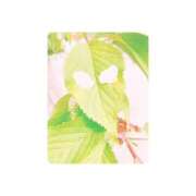 ヒメ日記 2025/05/15 18:19 投稿 白水　南乃 タッチVIP