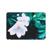 ヒメ日記 2025/05/18 12:42 投稿 白水　南乃 タッチVIP