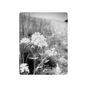 ヒメ日記 2025/05/25 10:13 投稿 白水　南乃 タッチVIP