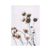 ヒメ日記 2025/05/28 13:27 投稿 白水　南乃 タッチVIP