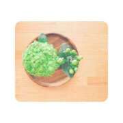 ヒメ日記 2025/05/30 09:27 投稿 白水　南乃 タッチVIP