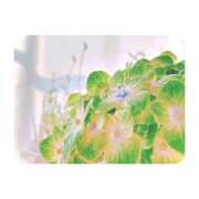 ヒメ日記 2025/06/10 09:03 投稿 白水　南乃 タッチVIP