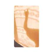 ヒメ日記 2025/06/11 11:18 投稿 白水　南乃 タッチVIP