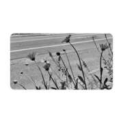 ヒメ日記 2025/06/29 09:18 投稿 白水　南乃 タッチVIP