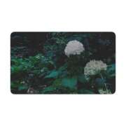 ヒメ日記 2025/10/13 08:36 投稿 白水　南乃 タッチVIP