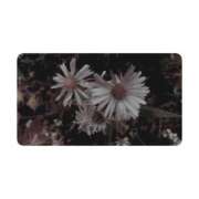 ヒメ日記 2025/10/19 11:18 投稿 白水　南乃 タッチVIP