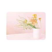 ヒメ日記 2025/11/09 08:51 投稿 白水　南乃 タッチVIP