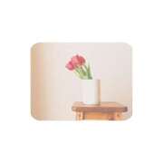 ヒメ日記 2026/01/12 10:19 投稿 白水　南乃 タッチVIP