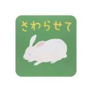 ヒメ日記 2026/03/01 09:42 投稿 白水　南乃 タッチVIP