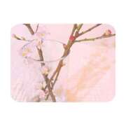 ヒメ日記 2026/03/03 09:03 投稿 白水　南乃 タッチVIP