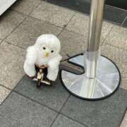 ヒメ日記 2025/07/17 09:03 投稿 天海　百恵 タッチVIP