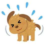 ヒメ日記 2025/09/12 16:39 投稿 天海　百恵 タッチVIP