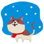 ヒメ日記 2025/11/29 03:03 投稿 天海　百恵 タッチVIP