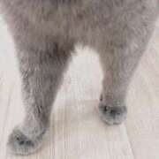 ヒメ日記 2026/01/20 03:33 投稿 天海　百恵 タッチVIP