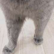 ヒメ日記 2026/01/22 16:42 投稿 天海　百恵 タッチVIP