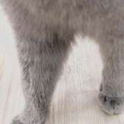 ヒメ日記 2026/01/23 03:03 投稿 天海　百恵 タッチVIP