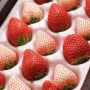 ヒメ日記 2025/04/08 01:48 投稿 滝村　華菜 タッチVIP