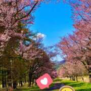 ヒメ日記 2025/05/23 09:27 投稿 滝村　華菜 タッチVIP