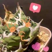 ヒメ日記 2026/02/15 02:03 投稿 滝村　華菜 タッチVIP