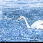 滝村　華菜 [お題]from:早く乾いてさん タッチVIP