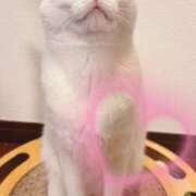 滝村　華菜 こんにちは タッチVIP