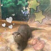 ヒメ日記 2026/03/15 03:48 投稿 滝村　華菜 タッチVIP