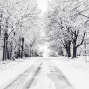 ヒメ日記 2025/01/30 07:49 投稿 南條　あこ タッチVIP