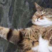 ヒメ日記 2025/04/07 07:48 投稿 南條　あこ タッチVIP