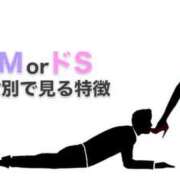 ヒメ日記 2025/04/24 08:33 投稿 南條　あこ タッチVIP