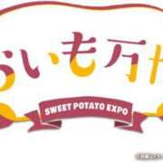 ヒメ日記 2025/08/24 07:15 投稿 南條　あこ タッチVIP