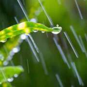 ヒメ日記 2025/09/21 08:03 投稿 南條　あこ タッチVIP