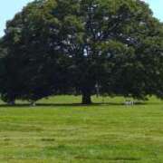 ヒメ日記 2025/09/29 08:54 投稿 南條　あこ タッチVIP