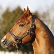 ヒメ日記 2025/11/19 21:33 投稿 南條　あこ タッチVIP