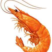 ヒメ日記 2026/02/26 08:27 投稿 南條　あこ タッチVIP