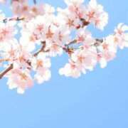 ヒメ日記 2026/03/27 18:03 投稿 南條　あこ タッチVIP