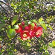 ヒメ日記 2025/04/02 07:48 投稿 黒川　芽衣子 タッチVIP