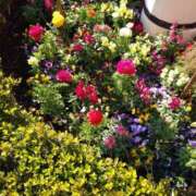 ヒメ日記 2025/04/27 08:33 投稿 黒川　芽衣子 タッチVIP