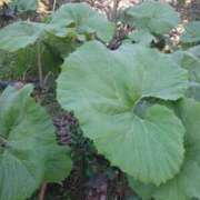 ヒメ日記 2025/05/25 08:27 投稿 黒川　芽衣子 タッチVIP