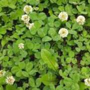 ヒメ日記 2025/07/29 07:33 投稿 黒川　芽衣子 タッチVIP