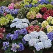 ヒメ日記 2025/08/03 08:27 投稿 黒川　芽衣子 タッチVIP