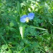 ヒメ日記 2025/08/24 08:27 投稿 黒川　芽衣子 タッチVIP