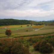 ヒメ日記 2025/09/20 08:45 投稿 黒川　芽衣子 タッチVIP